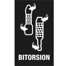 Simbol bitorsion