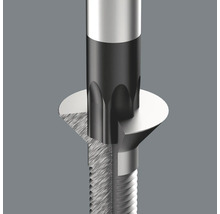 Prim-plan cu un șurub cu antrenare Torx