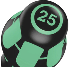 Halteră cu greutate 25