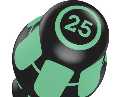 Halteră cu greutate 25