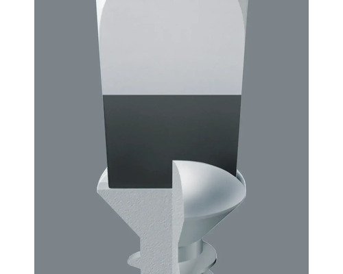 Şurub cu şurubelniţă