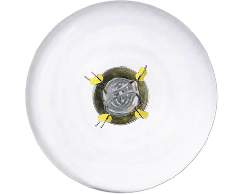 Bec cu incandescență cu sticlă transparentă