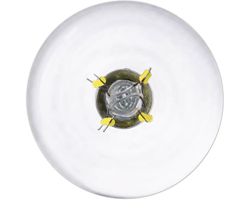 Prim-plan al unui bec, prezentând componentele interne și pinii de conectare