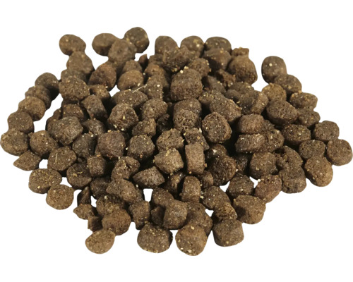 Grămadă de hrană uscată pentru câini