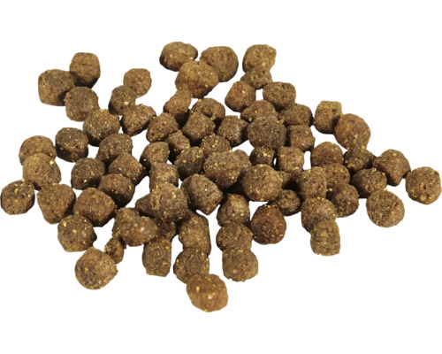 Grămadă de hrană uscată pentru câini