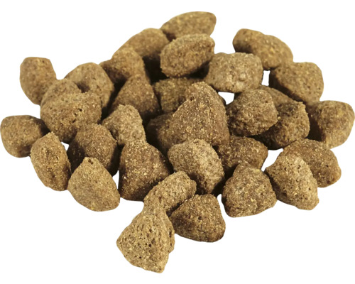 Hrană uscată maro pentru câini