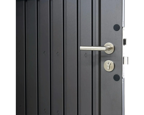 Detaliu ușă de intrare cu mâner și încuietoare