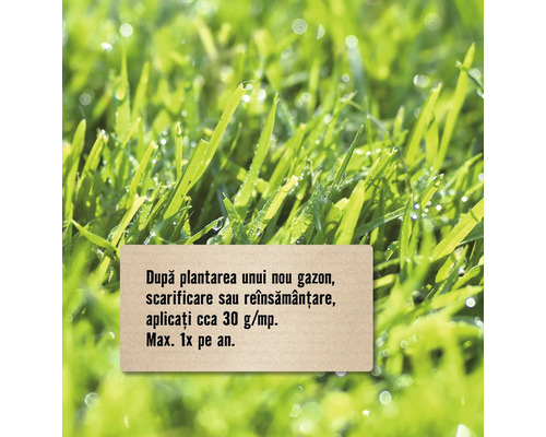 Suprafață cu gazon cu instrucțiuni de aplicare după plantare, scarificare sau reînsămânțare