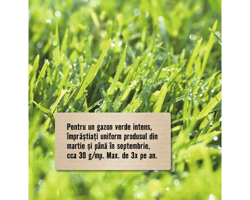 Informații despre aplicarea îngrășământului pentru gazon pentru a obține o culoare verde intensă.