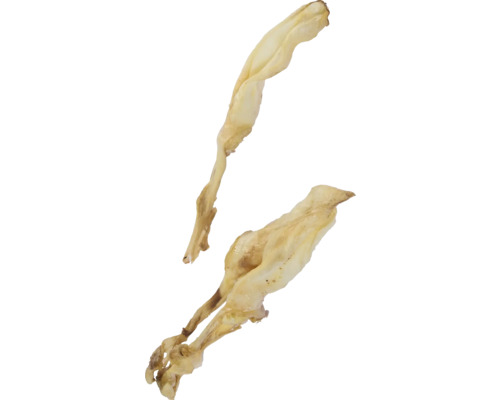 Doi tulpinile de sparanghel