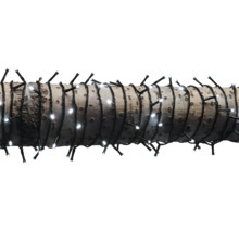 Șir de lumini cu lumini albe înfășurat în jurul unui trunchi de copac