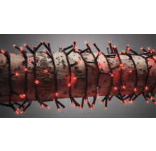 Șir de lumini cu LED-uri roșii înfășurat în jurul unui trunchi de copac