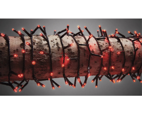 Șir de lumini cu LED-uri roșii înfășurat în jurul unui trunchi de copac