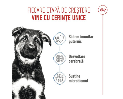 Ilustrație cu caracteristicile produsului pentru hrana câinilor