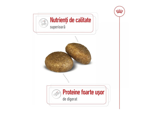 Două crochete de hrană cu informații despre nutrienți de înaltă calitate și proteine ușor de digerat