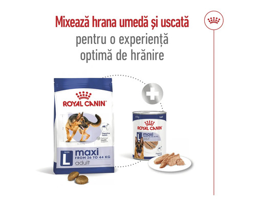 Combinație hrană umedă și uscată pentru câini Royal Canin Maxi Adult