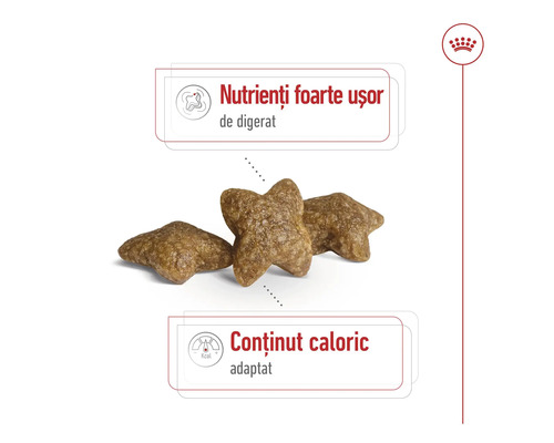 Hrană uscată în formă de stea pentru animale de companie