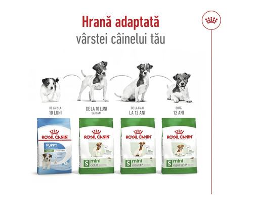 Hrană pentru câini Royal Canin pentru diferite etape de viață