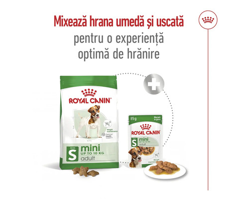 Royal Canin Mini Adult hrana uscată și umedă pentru câini