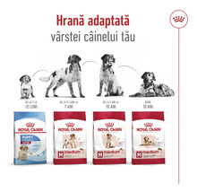 Hrană pentru câini Royal Canin pentru diferite grupe de vârstă