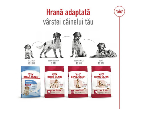 Hrană pentru câini Royal Canin pentru diferite grupe de vârstă