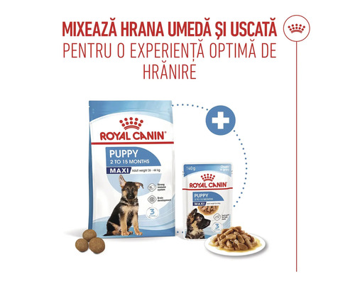 Hrană uscată pentru câini Royal Canin Maxi Puppy 12 kg | HORNBACH
