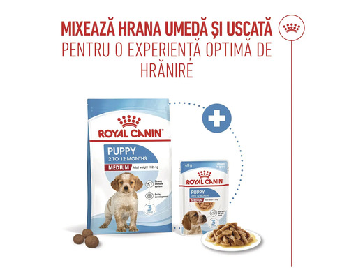 Hrană Royal Canin pentru căței de rase medii, hrană uscată și umedă