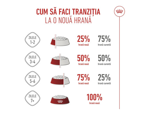 Diagramă cu instrucțiuni pentru tranziția la o nouă hrană pentru animale de companie, cu proporții sugerate pentru amestecare în zilele 1-2, 3-4, 5-6 și 7+