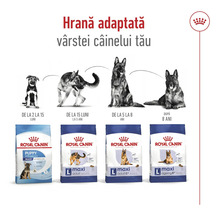Hrană pentru câini Royal Canin pentru diferite grupe de vârstă ale câinilor
