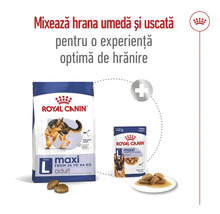 Hrană pentru câini Royal Canin Maxi Adult, hrană uscată și umedă
