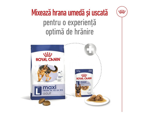 Hrană pentru câini Royal Canin Maxi Adult, hrană uscată și umedă
