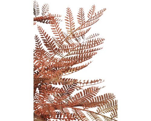 Prim-plan cu ferigă de culoarea ruginii pentru decorațiuni.