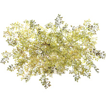 Plantă artificială decorativă cu frunze în ghiveci