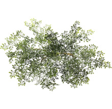 Vedere de sus a unui copac artificial cu frunze verzi.