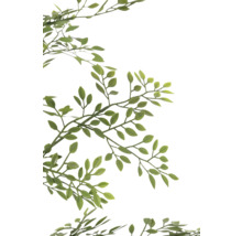 Ramură cu frunze verzi