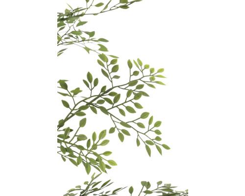 Ramură cu frunze verzi