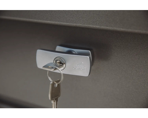 Încuietoare cu cheie în mâner de la Biohort