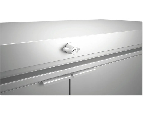 Imagine detaliată a unui dulap metalic încuiat cu mânere