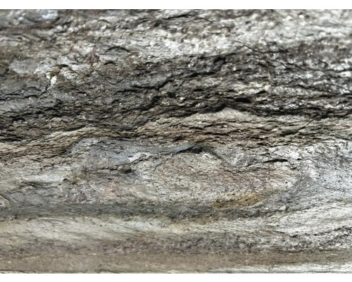 Prim-plan cu o structură stâncoasă aspră