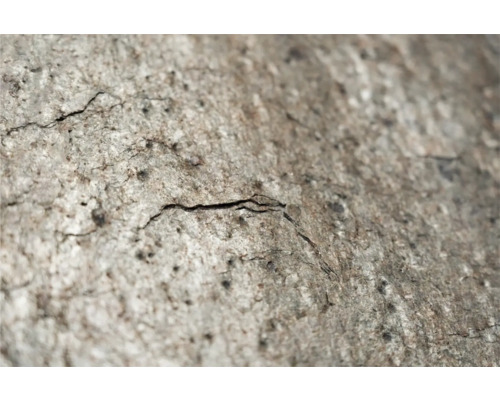 Prim-plan cu o suprafață de beton cu fisuri