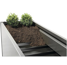 Prim-plan cu o jardinieră înaltă cu pământ și plante.