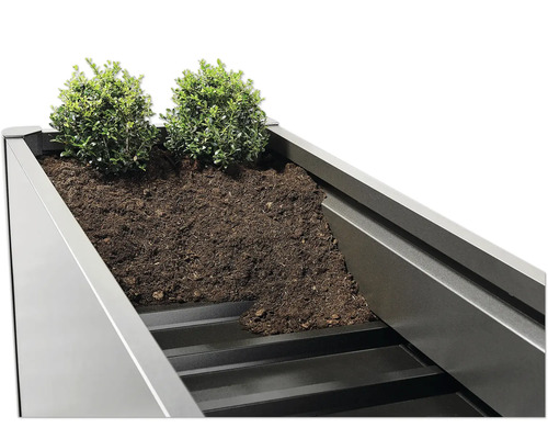 Prim-plan cu o jardinieră înaltă cu pământ și plante.