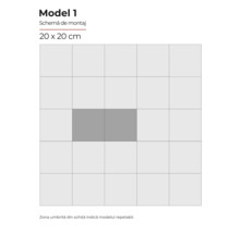 Schema Model 1, 20 x 20 cm