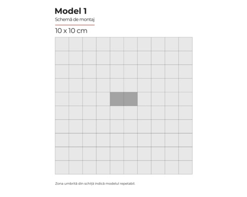Model 1 Schemă de montaj 10 x 10 cm