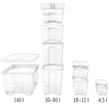 Mai multe cutii de depozitare transparente de diferite dimensiuni