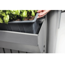 Jardinieră de balcon cu inserție pentru plante și plantare