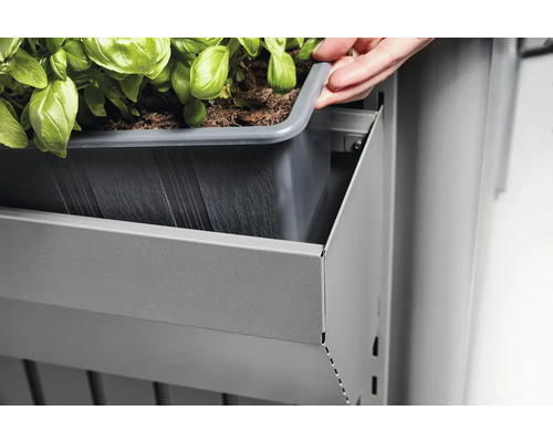 Jardinieră de balcon cu inserție pentru plante și plantare