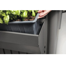 Persoană care așază jardiniera într-o structură metalică cu plante