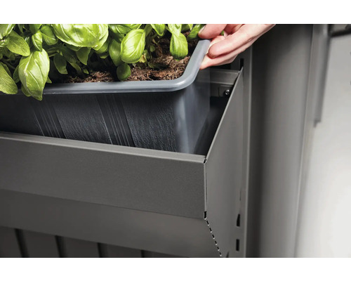 Persoană care așază jardiniera într-o structură metalică cu plante