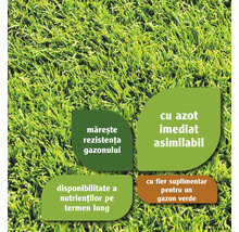 Informații despre produsele de îngrijire a gazonului: Rezistență sporită, azot disponibil imediat, disponibilitate pe termen lung a nutrienților și fier suplimentar pentru un gazon verde.